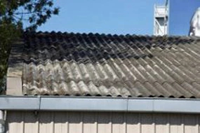 roof fence - Is your Asbestos Roof, Fence & Gutter safe?